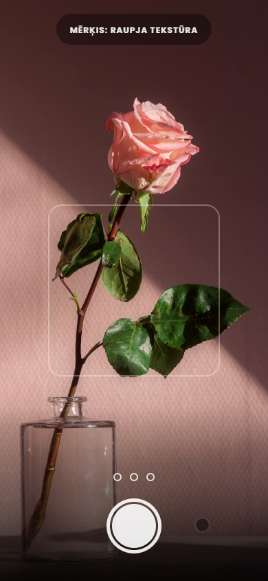 Focus Ritual Interface